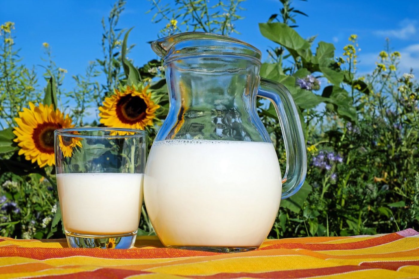 Fresh dairy milk