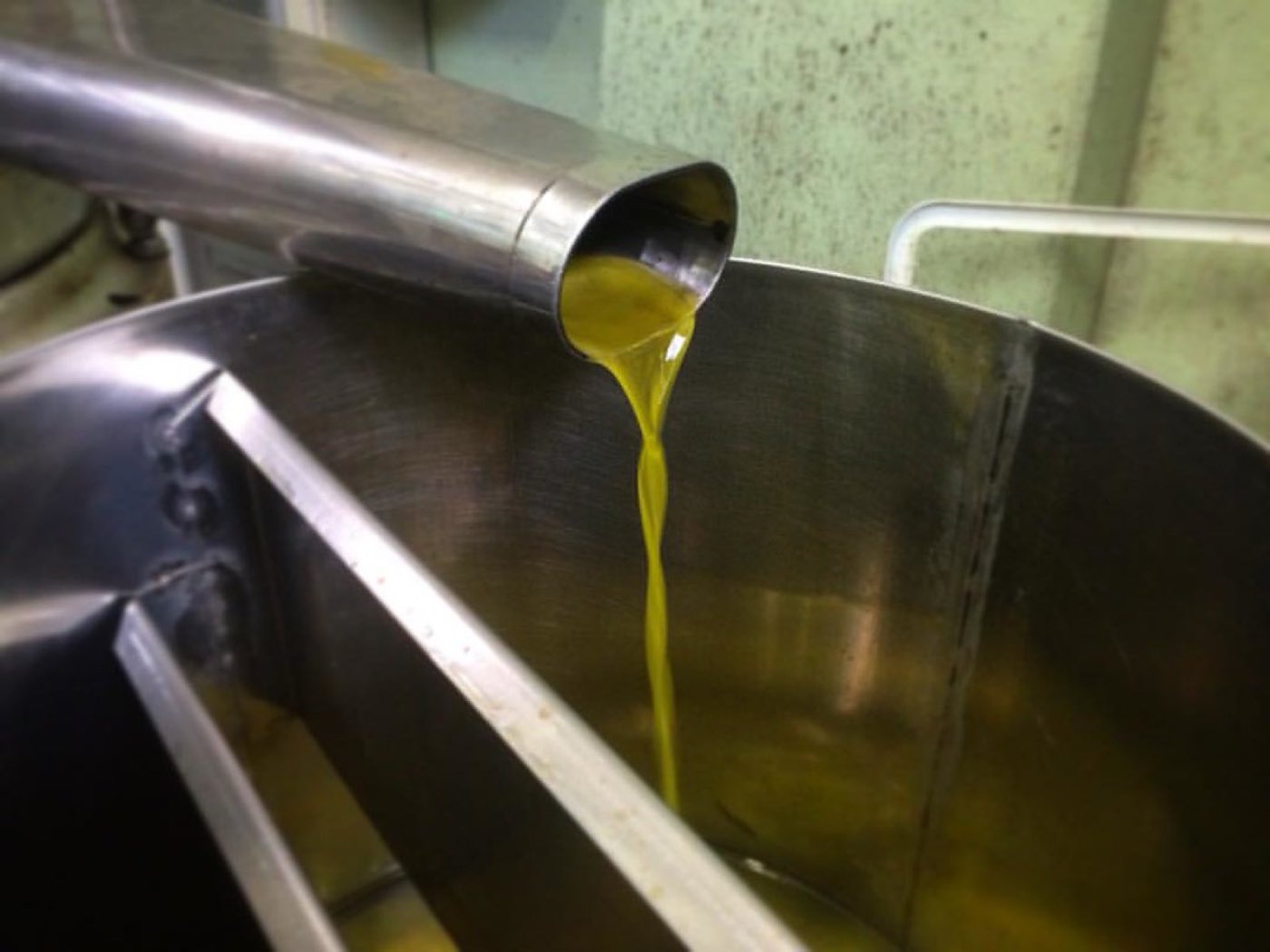 Extra virgin olive oil pouring from the stone mill